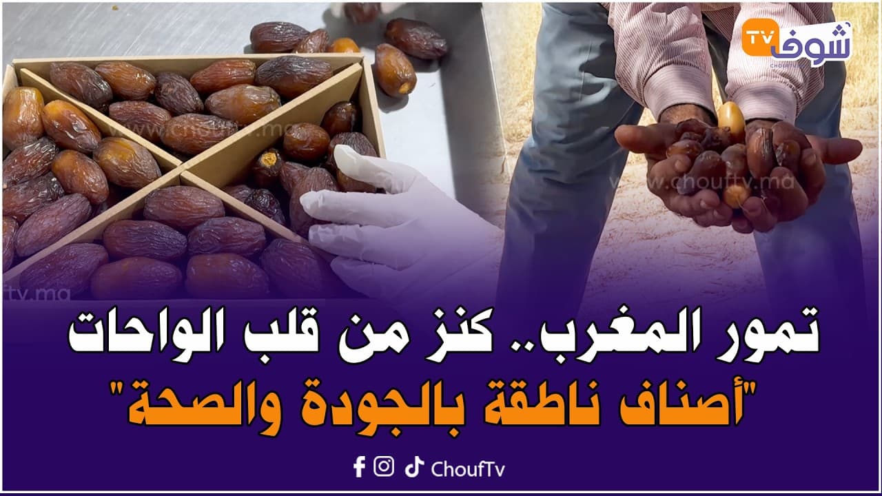 تمور المغرب.. كنز من قلب الواحات "أصناف ناطقة بالجودة والصحة"